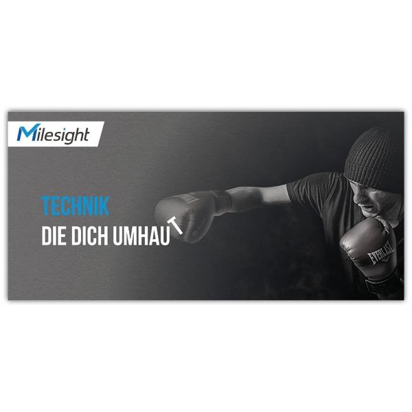 +MARKETING MILESIGHT 2#